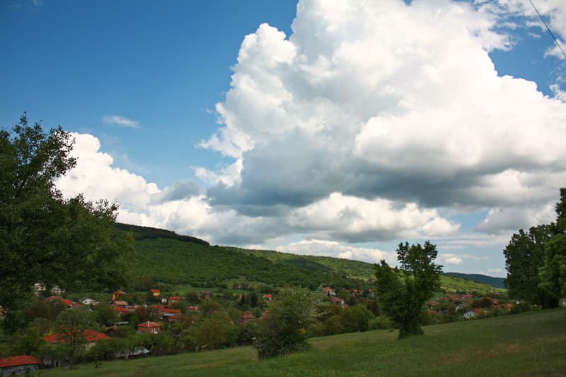 Nature in Novo selo