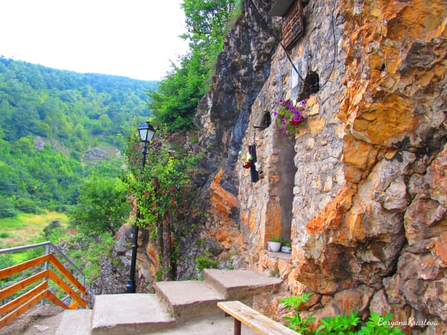 The Tran Eco-trail
